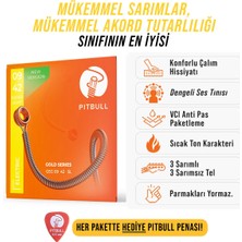 Pitbull Strings Gold Series Geg 09-42 Sl Takım Tel Elektro Gitar Teli