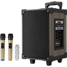 Glr LT-910 20W Güç Özellikleri ile Kablosuz Hoparlör ve 2 Mikrofonlu Ses Sistemi