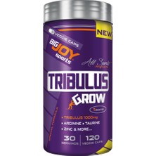 Bigjoy Sports Tribulus Grow 120 Kapsül 30 Servis Çinko ve Arjinin İçeren Bitkisel Takviye