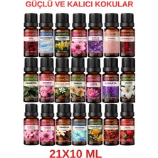 Harmoni Eko Set Saf Esansiyel Uçucu Yağ Buhurdanlık Yağı Difüzör Esansı Aromaterapi Ortam Koku Yağı 21X10M