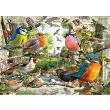 Ravens Burger Puzzle Ravensburger 1000 Parça Our Feathered Friends Puzzle
