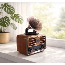 Everton RT-607 Nostaljik Gramofon Tasarımlı Retro Radyo - Bluetooth, Usb, Tf Kart Destekli Şarjlı Müzik Kutusu