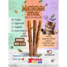 Matatabi Cats Jumbo 3 Lü Stıck-Doğal Kedi Oyuncağı ,diş Temizleme,kedi Kemirme Çubuğu