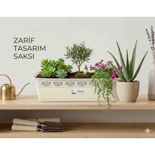 Bee Home Saksı Balkon 50 cm Desenli Krem  AK-638