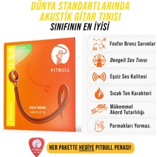 Pitbull Strings Gold Series Gag 10-47 Sl Takım Tel Akustik Gitar Teli 10-47