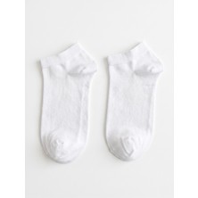 QUALITY WALKING Dikişsiz Pamuklu Bilek Boy Patik Çorap