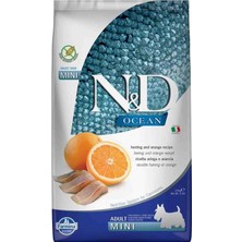 N&d Ocean Tahılsız Balıklı Küçük Irk Yetişkin Köpek Maması 2,5 kg