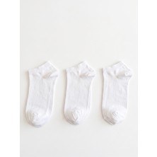 QUALITY WALKING 3'lü Dikişsiz Pamuklu Bilek Boy Patik Çorap