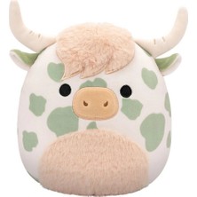 Sinerjim Squishmallows 40 cm Seri F Asorti