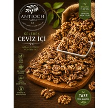 Antioch Farmyeni Mahsül Kelebek Ceviz Içi 250GR