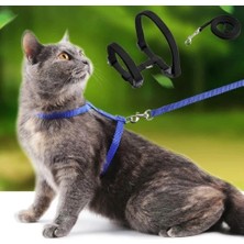 İlk El Grup Kedi Tasması