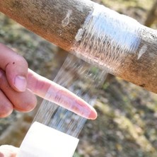 Hereveoyuncak 5 cm x 200 Metre Aşı Streçi - Profesyonel Fidann ve Ağaç Aşı Bandı