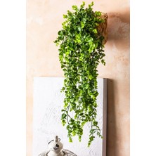 Cihan Çiçekçilik Yapay Okaliptus Sarmaşık 3'lü 70 cm