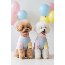 Kemique Bubbles Pastel Köpek Tişörtü | Cepli Şeker Renkli Yazlık Köpek Kıyafeti | Küçük Irklar Için