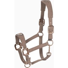 Cavallo Cavalpawel Anatomik At Yuları