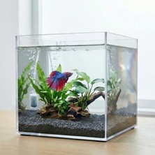 Cekar Store Premium Kristal Küp Nano Akvaryum & Beta Fanusu 20X20X20 cm 7 Litre - Karides ve Balık Akvaryumu