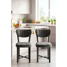 GOLDFALEZ Sandalye 2 Adet Baby Face Kumaş Metal Ayak Modern Mutfak Sandalyesi Cafe Balkon Ofis Elma 9811 Antrasit