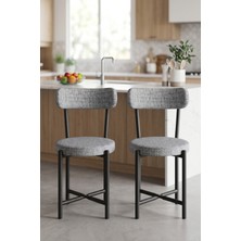 GOLDFALEZ Sandalye 2 Adet Keten Kumaş Metal Ayak Modern Mutfak Sandalyesi Cafe Balkon Ofis Teddy 9812 Gri