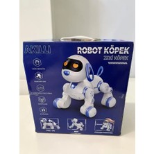 Esranın Dünyası 6601 Uzk Kumandalı Dans Edebilen Robot Köpek
