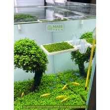 Mabs Tech Akvaryum Içi Vantuzlu Moss Rafı - Dekoratif 3D Moss Teli Tutucusu – 5x5 cm Tel Uyumlu - Aquascape Aksesuar