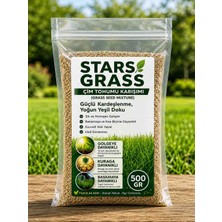 STAR GRASS 6'lı Karışım Çim Tohumu 500 Gr (Çok Yıllık, Basılmaya, Gölgeye, Kurağa Dayanıklı)