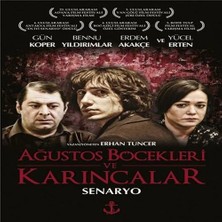Nacario Ağustos Böcekleri Karıncalar
