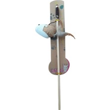 Kaufhier Nunbell Kedi Oltasi
