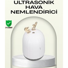 Kaufhier Abs+Pp Malzemeli Taşınabilir 220 ML USB Mist Nemlendirici