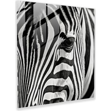 Popcas Modern Zebra Temalı Temperli Cam Tablo