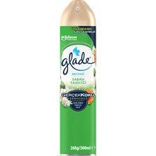 Glade Aerosol Oda Kokusu Sabah Tazeliği 300ML 2 Adet