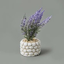 Matmel Mini Saksıda Lavanta - Asorti - 10X5X5 cm