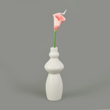 Matmel Dal Gala Çiçeği - Asorti - 33 cm