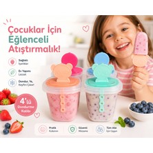 DİYA3 4’lü Meybuz ve Dondurma Kalıbı Bpa’sız Ev Tipi Popsicle Seti