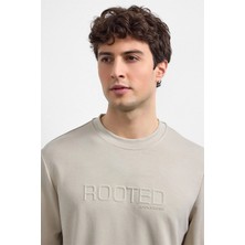 Bej Regular Fit Bisiklet Yaka Sweatshirt