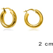 Emiliano Jewellery Altın Kaplamalı Şarnel Halka Gümüş Küpe