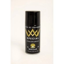 Wellax Special Klima Bombası Temizleme Spreyi