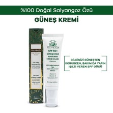 Fellyhealer Güneş Kremi 50 ml SPF50+ Tüm Cilt Tipleri İçin Geniş Spektrum Paraben İçermeyen Koruma