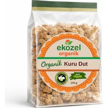 Ekozel Organik Kuru Dut