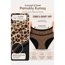 Hepsine Rakip 2li Kadın Leopar Bikini Yüksek Bel Külot İnce Lastik Ekonomik