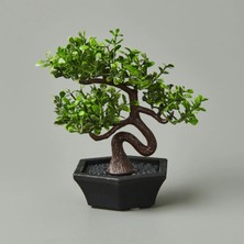 Matmel Dekor Mini Yapay Bonsai - Asorti - 10X13 cm