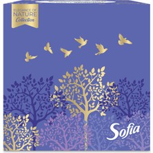 Sofia Küp Kutu Mendil 50'li 5 Adet