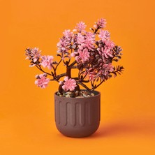 Matmel Dekor Yapay Bonsai - Asorti - 12X17 cm