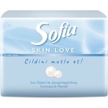 Sofia Skin Love Mini Mendil 75'li 2 Adet