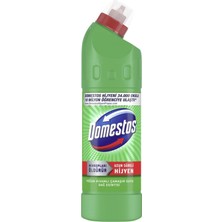 Domestos Yoğun Kıvamlı Çamaşır Suyu Dağ Esintisi 750 ml 3 Adet