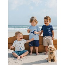 Civil Baby Köpek Balığı Baskılı 3'lü Set 6-18 Ay Takım - Standart
