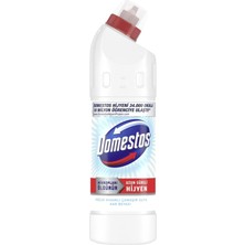 Domestos Yoğun Kıvamlı Çamaşır Suyu Kar Beyazı 750 ml 3 Adet