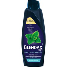 Blendax Nane Özlü Erkek Şampuanı 500 ml 2 Adet