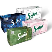 Sofia Kutu Mendil 100'LÜ 2 Adet