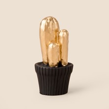 Matmel Deco Mini Saksılı Kaktüs Dekoratif Obje - Siyah / Altın