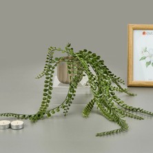 Simple Living Mika Saksılı Okaliptüs Sarkıtı - Yeşil / Bej